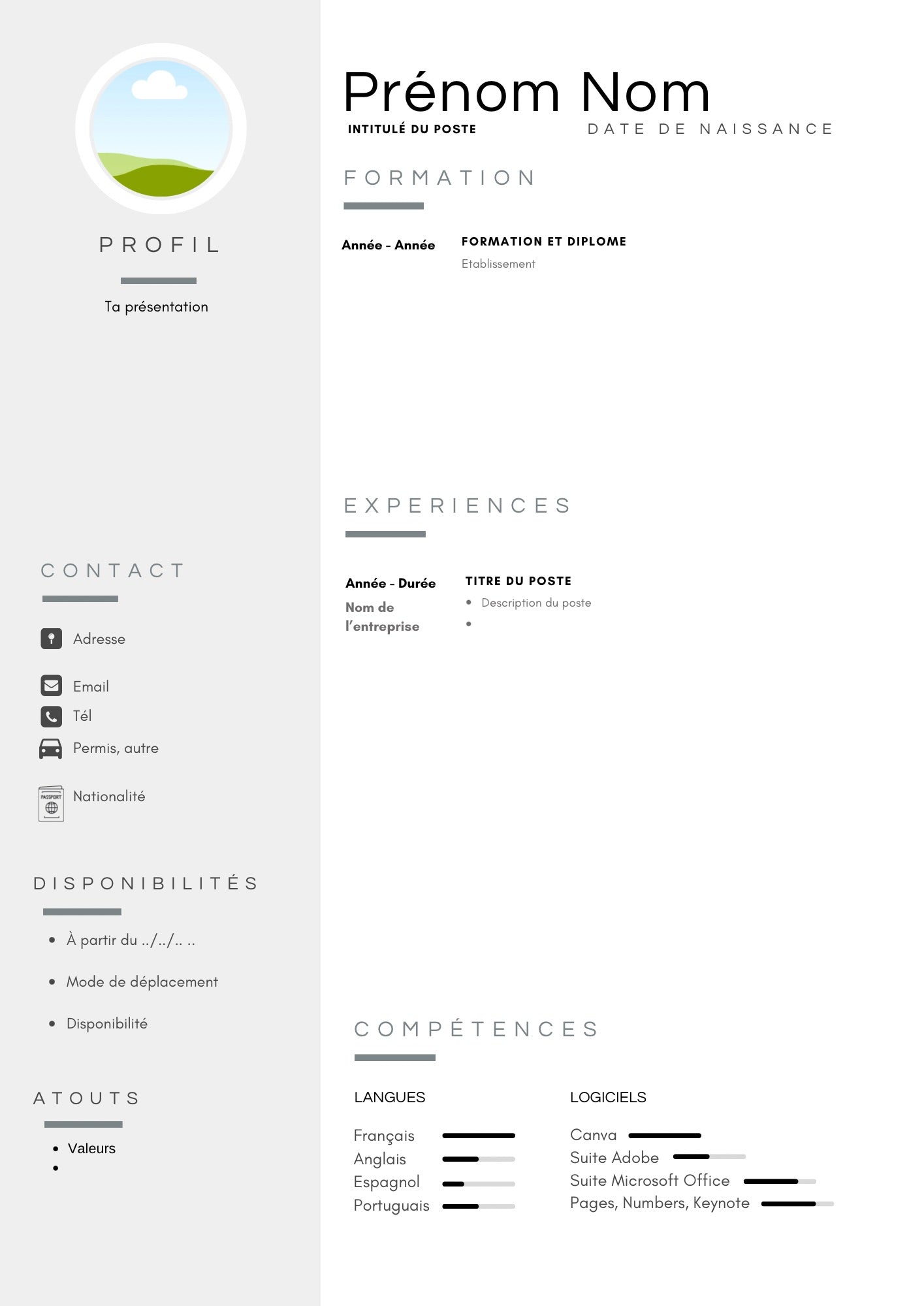 The perfect CV